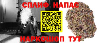 сатива Кандалакша