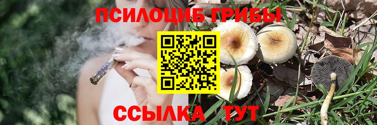 Псилоцибиновые грибы мухоморы  Псилоцибиновые грибы Magic Shrooms  Краснодар  Вход с VPN 